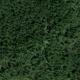 Satellite imagery of Gold Bug Mine, US