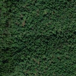 Satellite imagery of Gold Bug Mine, US