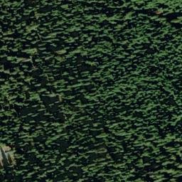 Satellite imagery of Martin Peak, US