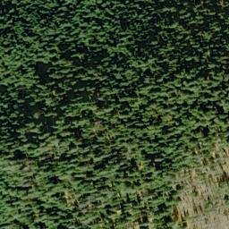 Satellite imagery of Martin Peak, US