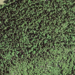 Satellite imagery of 14.14, IT