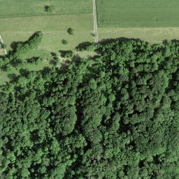 Satellite imagery of Mont Vully, CH