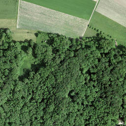 Satellite imagery of Mont Vully, CH