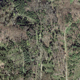 Satellite imagery of Gschuntnehubel, CH
