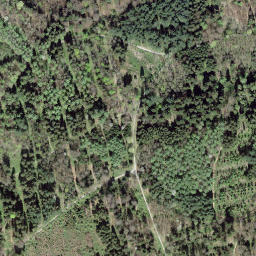 Satellite imagery of Kleiner Bremgartenwald, CH