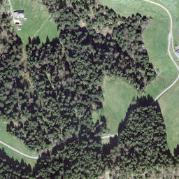 Satellite imagery of Wolfis, CH