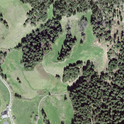 Satellite imagery of Wolfis, CH