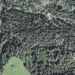 Satellite imagery of Risetenegg, CH