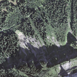Satellite imagery of Risetenegg, CH