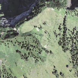 Satellite imagery of Hengst, CH