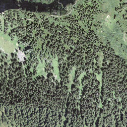 Satellite imagery of Mittaggüpfi, CH