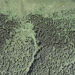 Satellite imagery of Mittaggüpfi, CH