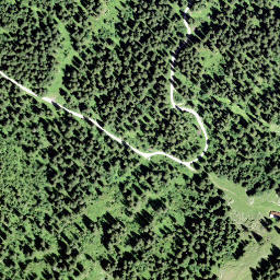 Satellite imagery of Firstli, CH