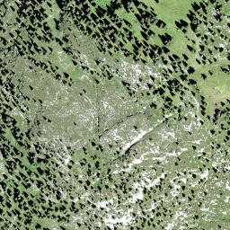 Satellite imagery of Silber, CH