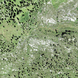 Satellite imagery of Silber, CH