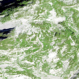 Satellite imagery of Büchel, CH