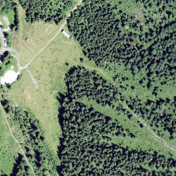 Satellite imagery of Füdlechöpf, CH