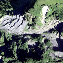 Satellite imagery of Hirzegg, CH