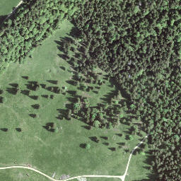 Satellite imagery of BFN131, CH