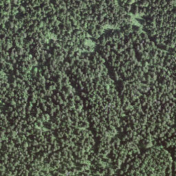 Satellite imagery of BFN127, CH
