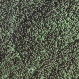 Satellite imagery of BFN123, IT