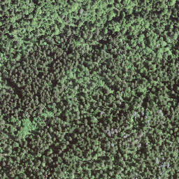Satellite imagery of BFN123, IT
