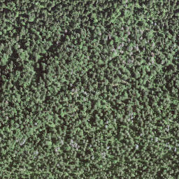Satellite imagery of BFN123, IT