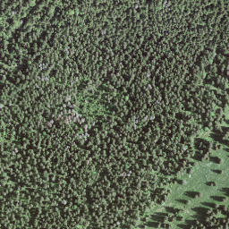 Satellite imagery of BFN118, IT