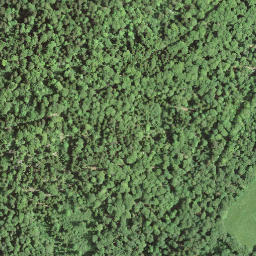 Satellite imagery of 14.14, IT