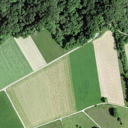 Satellite imagery of Mont Vully, CH