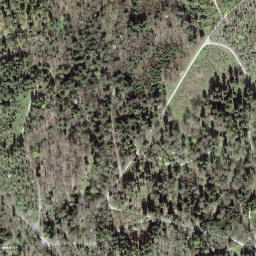 Satellite imagery of Gschuntnehubel, CH