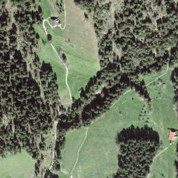 Satellite imagery of Büel, CH