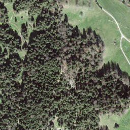 Satellite imagery of Büel, CH