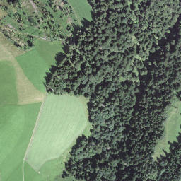 Satellite imagery of Bachegg, CH