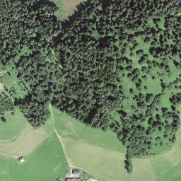 Satellite imagery of Obstaldenegg, CH