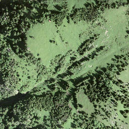 Satellite imagery of Fronalpstock, CH