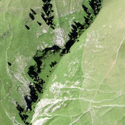 Satellite imagery of Firstli, CH