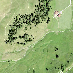 Satellite imagery of Firstli, CH