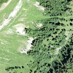 Satellite imagery of Planggstock, CH