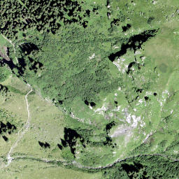 Satellite imagery of Füdlechöpf, CH