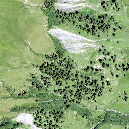 Satellite imagery of Spitzänegg, CH