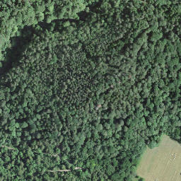 Satellite imagery of 31, IT