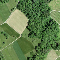 Satellite imagery of Mont Vully, CH