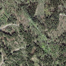 Satellite imagery of Gschuntnehubel, CH