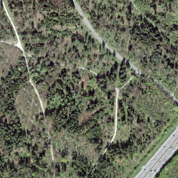 Satellite imagery of Gschuntnehubel, CH