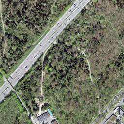 Satellite imagery of Gschuntnehubel, CH