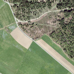 Satellite imagery of Mänziwilegg, CH