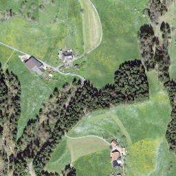 Satellite imagery of Wolfis, CH