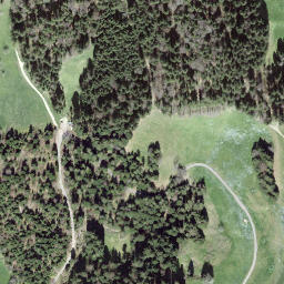 Satellite imagery of Wolfis, CH