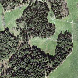 Satellite imagery of Büel, CH